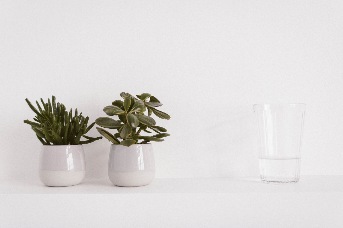 Two Round Ceramic Potted Green Plants and Liquid Filled Clear Drinking Glass